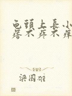 龟头上长小红疙瘩不疼不痒