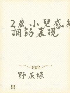 2岁小儿感统失调的表现