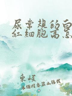 尿常规的白细胞红细胞高怎么回事