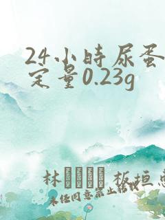 24小时尿蛋白定量0.23g