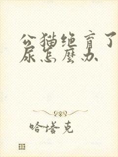 公猫绝育了还乱尿怎么办