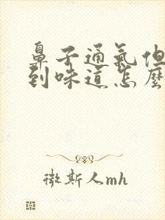 鼻子通气但闻不到味道怎么治疗