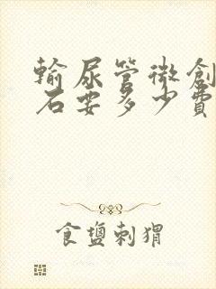 输尿管微创取结石要多少费用