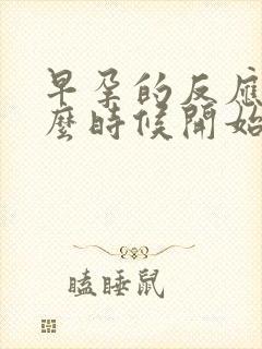 早孕的反应从什么时候开始