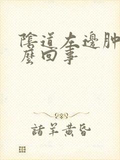 阴道左边肿疼怎么回事