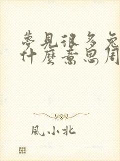 梦见很多兔子是什么意思周公解梦