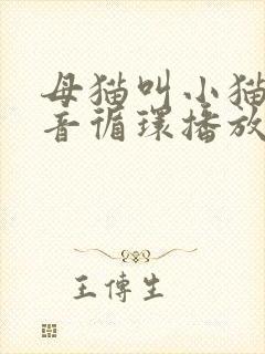 母猫叫小猫的声音循环播放