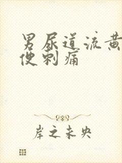 男尿道流黄脓小便刺痛