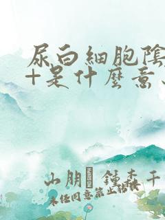 尿白细胞阴性2+是什么意思