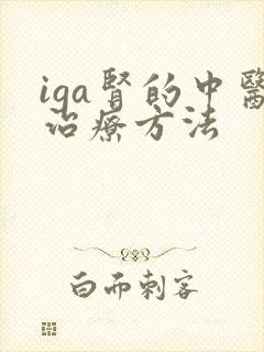 iga肾的中医治疗方法