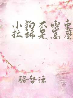 小狗不吃东西还拉稀是怎么回事