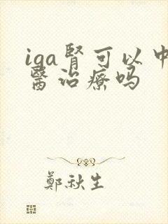 iga肾可以中医治疗吗