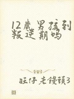 12岁男孩到了叛逆期吗