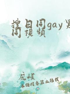 搜日同gay男同视频
