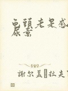 龟头老是感觉有尿意