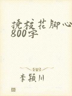 挠校花脚心作文800字