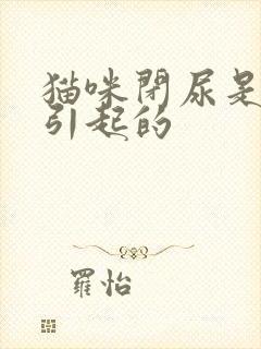 猫咪闭尿是什么引起的