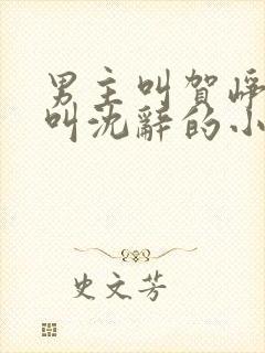 男主叫贺峥女主叫沈辞的小说