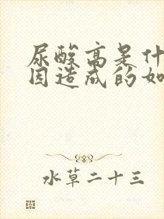 尿酸高是什么原因造成的如何调理