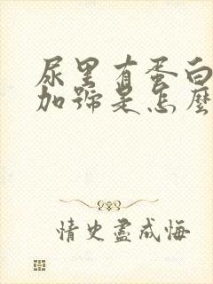 尿里有蛋白2个加号是怎么回事