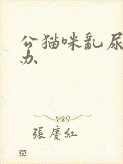 公猫咪乱尿怎么办