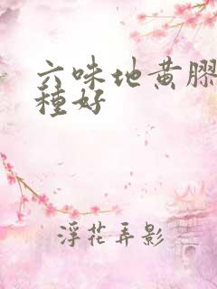 六味地黄胶囊那种好