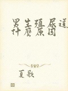 男生殖尿道疼痛什么原因