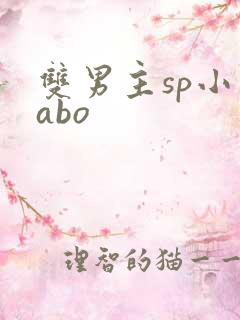 双男主sp小说abo