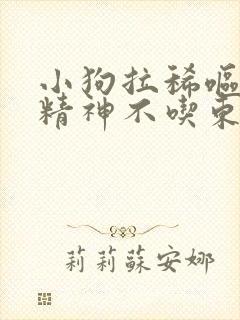 小狗拉稀呕吐没精神不吃东西