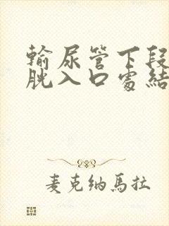 输尿管下段近膀胱入口处结石