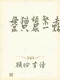 母猫频繁去猫砂盆只尿一点