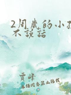 2周岁的小孩还不说话