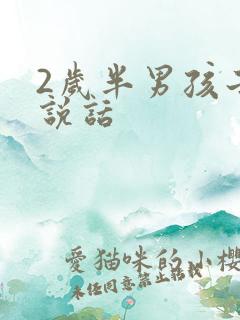 2岁半男孩子不说话