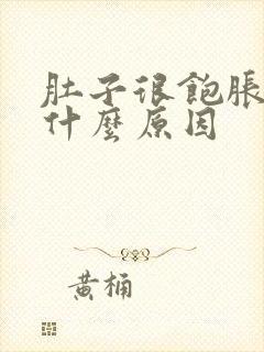 肚子很饱胀气是什么原因