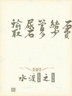 输尿管结石软镜取石多少费用