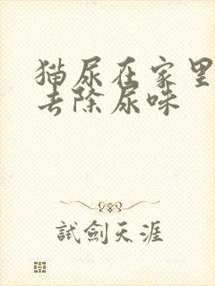 猫尿在家里怎么去除尿味