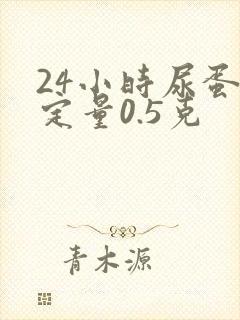 24小时尿蛋白定量0.5克