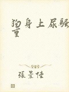 狗身上尿骚味很重