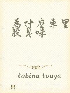 为什么车里有一股臭味