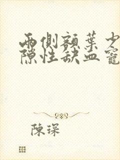 两侧额叶少许腔隙性缺血灶