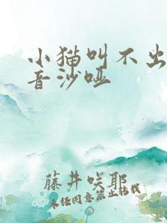 小猫叫不出来声音沙哑