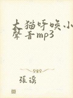 大猫呼唤小猫的声音mp3