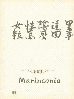 女性阴道里有肉粒怎么回事