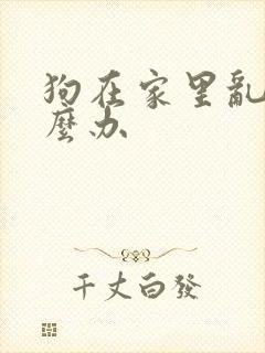 狗在家里乱尿怎么办