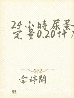 24小时尿蛋白定量0.20什么意思