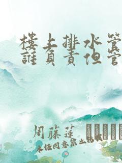 楼上排水管漏水谁负责但管道在我家