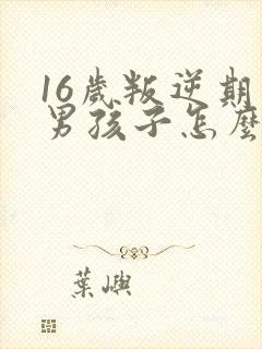 16岁叛逆期的男孩子怎么管