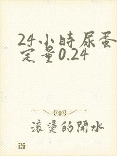 24小时尿蛋白定量0.24