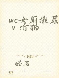 wc女厕撒尿七ⅴ偷拍