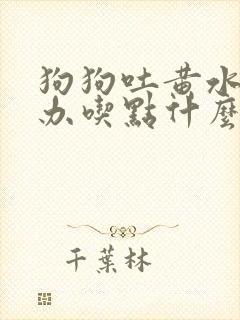 狗狗吐黄水怎么办吃点什么药